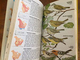 Birds of North America: A Guide to Field Identification, Golden, PB, 1966, Illustrated