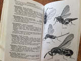 Insects by Donald J. Borror and Richard E. White, Peterson Field Guides, Vintage 1970, Hardcover Book with Dust Jacket in Mylar