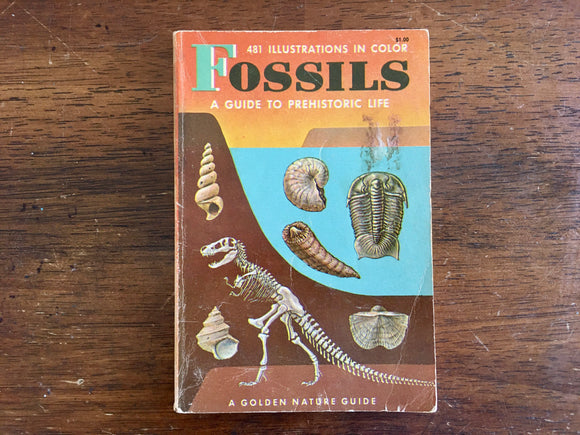 Fossils: A Guide to Prehistoric Life, A Golden Nature Guide, Vintage 1962