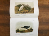 Audubon’s Birds of North America, The Complete 500 Paintings, Vintage 1990