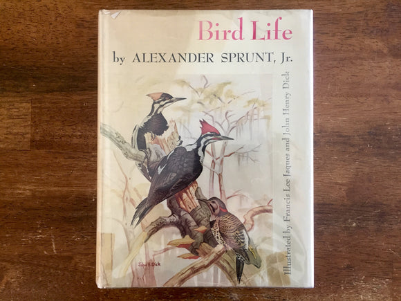 Florida Bird Life by Alexander Sprunt Jr., Vintage 1954, Illustrated
