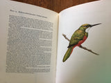 . Studies of Birds and Mammals of South America, Illustrated by Axel Amuchastegui, Vintage 1967, Hardcover Book with Dust Jacket
