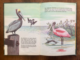 My Book of Birds, by Davney Hancock, Illustrated by Ray Weyraugh, 1961, HC