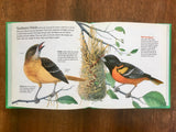 Cardinals, Robins, and Other Birds, Golden Junior Guide, Vintage 1993, HC