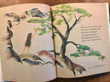 Where the Wild Apples Grow, Written and Illustrated by John Hawkinson, Vintage 1967, Hardcover Book