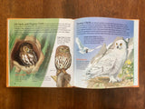Eagles, Hawks, and Owls, Golden Junior Guide, Nature, Vintage 1994, HC, Birds