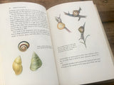 Snails of Land and Sea, Hilda Simon, HC DJ, Illustrated, Nature Study