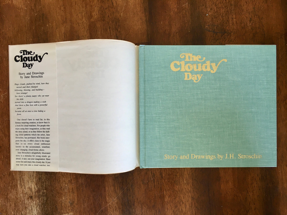 The Cloudy Day, Story and Pictures by JH Stroschin, Vintage 1989, Revi ...