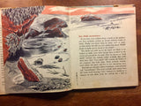 The First Book of Sea Shells by Betty Cavanna, Illustrated by Marguerite Scott, Vintage 1955, 1st Printing, Hardcover Book with Dust Jacket, Illustrated
