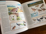 The Great Book of Birds, Illustrated Guide to 600 Species and Their Environments