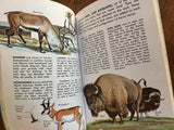 Zoo Animals, A Golden Nature Guide, Vintage 1967