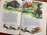 Wonders of Nature: A Child's Introduction to the World of Animals, Plants, Birds, Fish & Insects, Published by Parents' Magazine, Vintage 1974, Hardcover Book, Illustrated