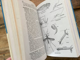 Insects of America North of Mexico, Peterson Field Guide, HC DJ, Nature Study