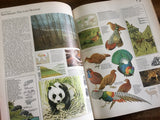 Rand McNally Atlas of World Wildlife, Illustrated Animals, Vintage 1973, Large HC