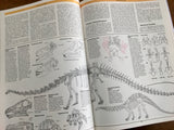 The Illustrated Encyclopedia of Dinosaurs by Dr David Norman