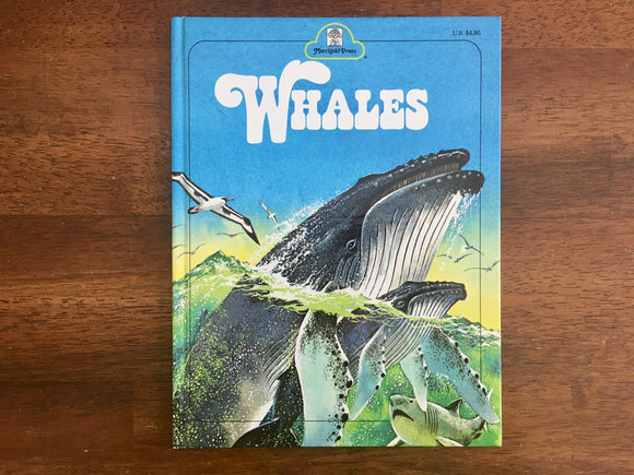 Whales by Jane Werner Watson, Illustrated by Rod Ruth, Vintage 1978