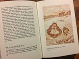 Aesop’s Fables, Illustrated by Arthur Rackham, Introduction by G.K. Chesterton, Hardcover Book with Dust Jacket