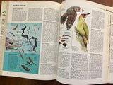 ABC’s of Nature, Reader's Digest, Vintage 1984, Hardcover Book with Dust Jacket