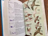 Birds of North America, Golden Books, A Guide to Field Identification, Expanded, Revised Edition, Vintage 1983, Hardcover Book