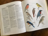 Macmillan Illustrated Animal Encyclopedia, Edited by Dr. Philip Whitfield, Foreword by Gerald Durrell, Vintage 1984, Hardcover Book with Dust Jacket
