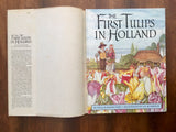 The First Tulips in Holland by Phyllis Krasilovsky, Illustrated by S.D. Schindler, Vintage 1982, 1st Edition, Hardcover Book with Dust Jacket