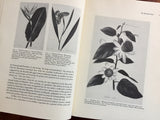 Drawn From Nature: The Botanical Art of Joseph Prestele and His Sons by Charles Van Ravenswaay, Vintage 1984