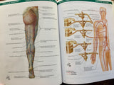 Netter's Anatomy and Physiology: Cardiovascular, Renal, and Endocrine Systems