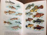 Aquarium Fish in Color, Vintage 1966, Color Plates by N. Norvil, HC