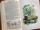 Robinson Crusoe by Daniel Defoe, Illustrated by Fritz Kredel, Vintage 1945, Hardcover Book
