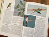 Song and Garden Birds of North America by Alexander Wetmore (with Sound Records), National Geographic Society, Vintage 1976, Hardcover Book, Illustrated