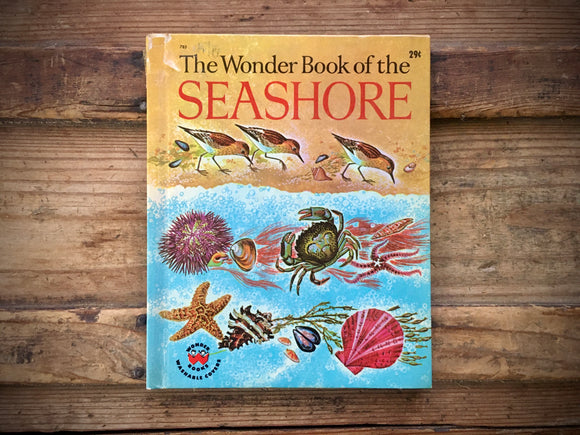The Wonder Book of the Seashore, Illustrated by Alvin Koehler, Nature, 1962, HC