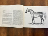 America's Horses and Ponies by Irene Brady, Vintage 1969, HC DJ