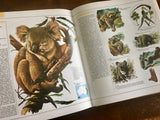 Great Book of the Animal Kingdom, Illustrations of 750 Species, Large Hardcover, DJ