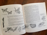 Insects by Ronald N. Rood, Illustrated by Cynthia Iliff Koehler and Alvin Koehler, A Matter-of-Fact Book, Vintage 1982