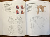 Human Body Coloring Book, Anatomy in 215 Illustrations, Science Activity
