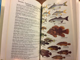 A Field Guide to Atlantic Coast Fishes of North America, Peterson Field Guide, Vintage 1986, Hardcover Book with Dust Jacket