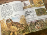 Prairie Dwellers, Nature’s Hidden World, Illustrated Animals, HC, Science, 1984