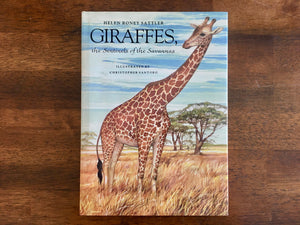 Giraffes, the Sentinels of the Savannas, by Helen Roney Sattler, Illustrated by Christopher Santoro, Vintage 1989, First Edition, Hardcover Book with Dust Jacket