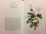Beautiful Wildflowers edited by Bette Bishop, 20 Watercolor Illustrations by Nanae Ito, Vintage 1968, Hardcover with Dust Jacket,
