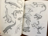 Big Book of Animal Illustrations, selected and arranged by Maggie Kate