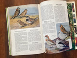 Song and Garden Birds of North America by Alexander Wetmore, 1976, Hardcover Book, Illustrated