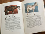 Wild Animals of the World, Illustration Portraits by Mary Baker, Text by William Bridges, Vintage 1948, Hardcover Book