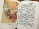 Indian Story Book, Retold by Richard Wilson, Illustrated by Frank C. Pape, Vintage 1989, Hardcover Book with Dust Jacket