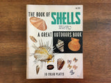 The Book of Shells: Great Outdoors by Lula Seikman, Illustrated by Elsie Malone