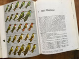 World of Birds, New and Revised Edition, by James Fisher and Roger Tory Peterson, 192 Full Color Plates, Vintage 1970s