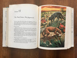 North American Mammals by Roger A. Caras, Vintage 1967, HC DJ, Nature, Animals